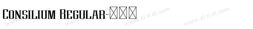 Consilium Regular字体转换 Consilium Regular字体转换